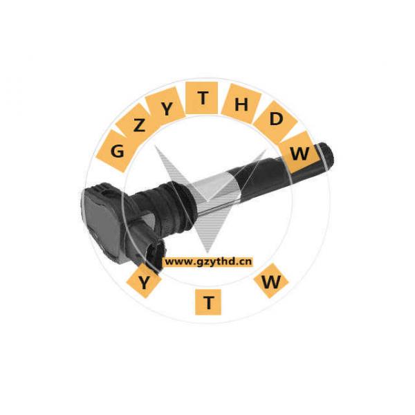 248404，Ignition Coil，248404，FERRARI，248404