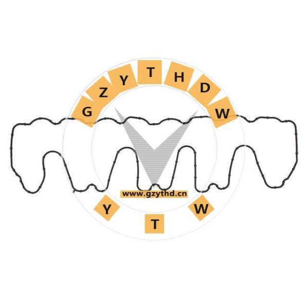 0429 1419,DEUTZ-FAHR,4291419,4291419,ValveCoverGasket