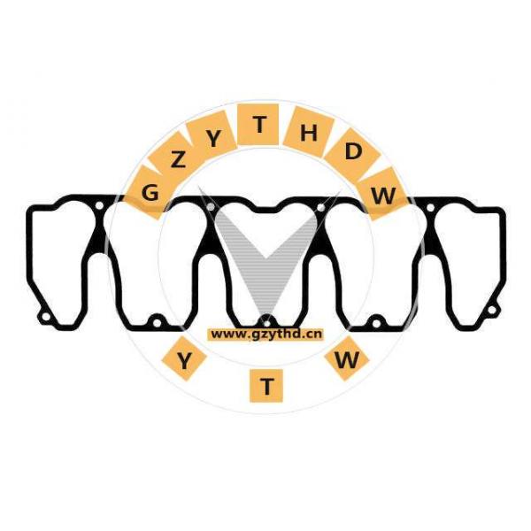 0419 8796,DEUTZ-FAHR,4198796,4198796,ValveCoverGasket