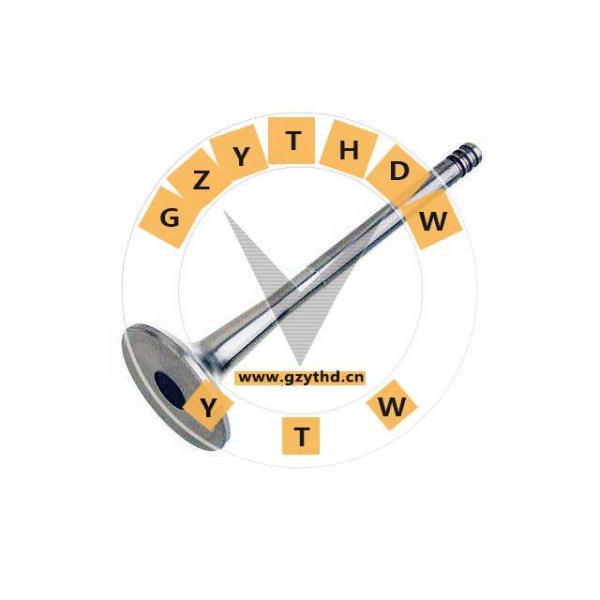 021 109 611 F，Exhaust Valve，021109611F，VOLKSWAGEN，021 109 611 F，FORD